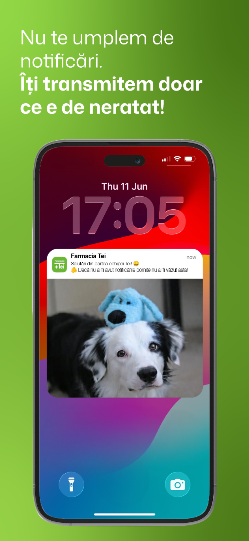 Notificări relevante